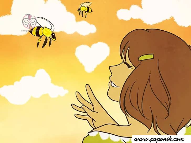 بدانید که زنبورها دوست شما هستند