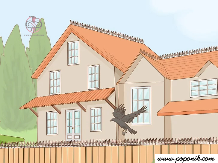 میخ های بلند پرنده را روی خطوط سقف یا نرده ها نصب کنید