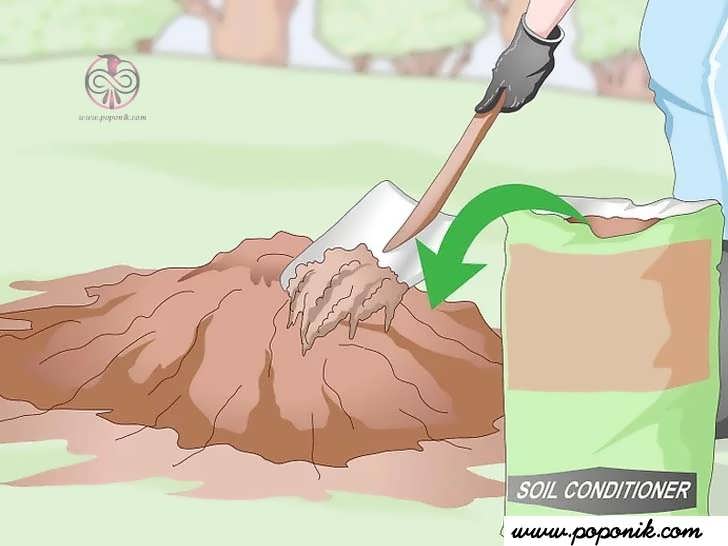 pH  خاک را اصولی و با روش صحیح بالا ببرید