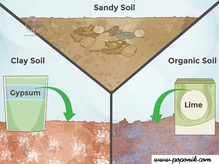  نوع خاک خود را مشخص کنید