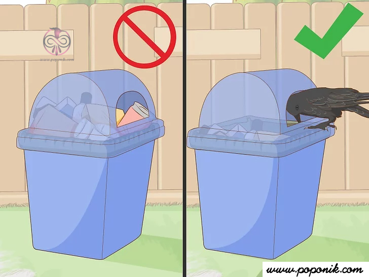  زباله را به صورت امن ذخیره کنید در جایی که کلاغ ها به آن دسترسی ندارند