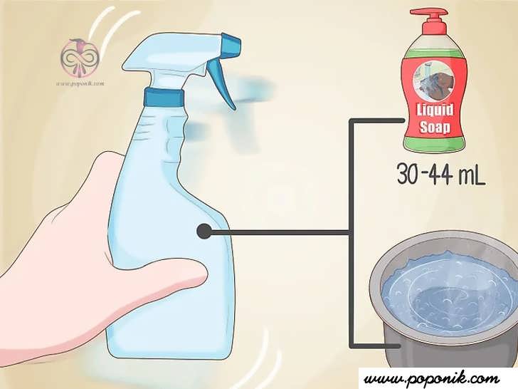 برای آلودگی خفیف، یک مخلوط ساده آب و صابون را امتحان کنید