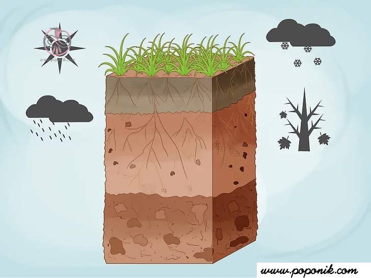 بدانید که چه چیزی فرسایش را بدتر می کند