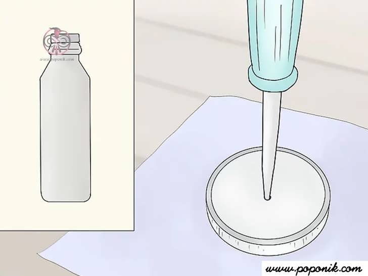 از شیشه شیر به عنوان بطری آبیاری استفاده کنید