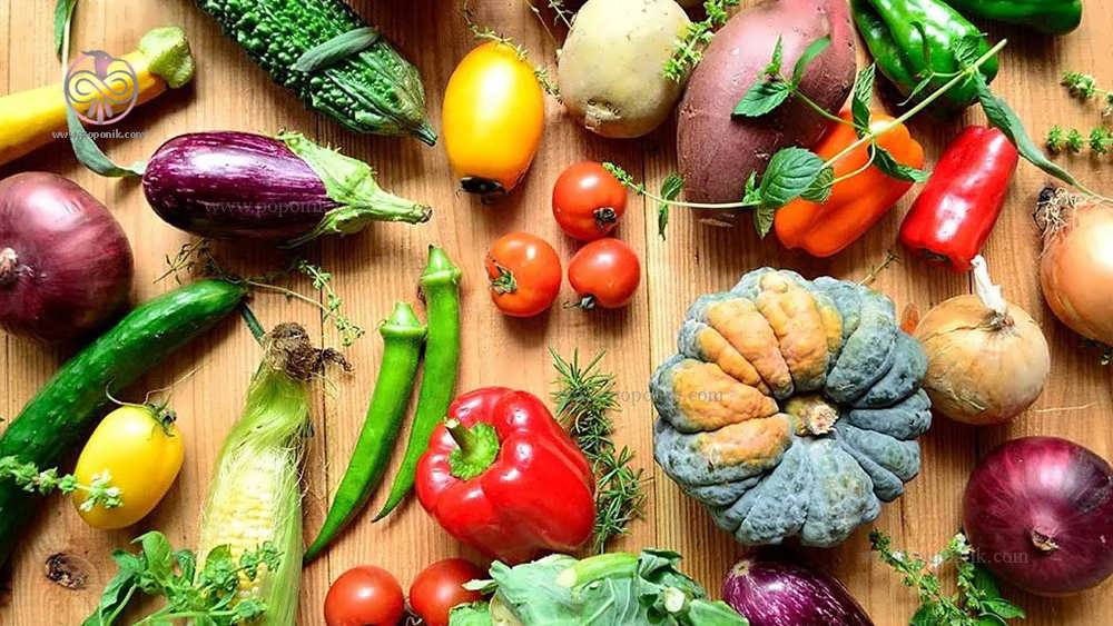 تفاوت صیفی جات و سبزیجات