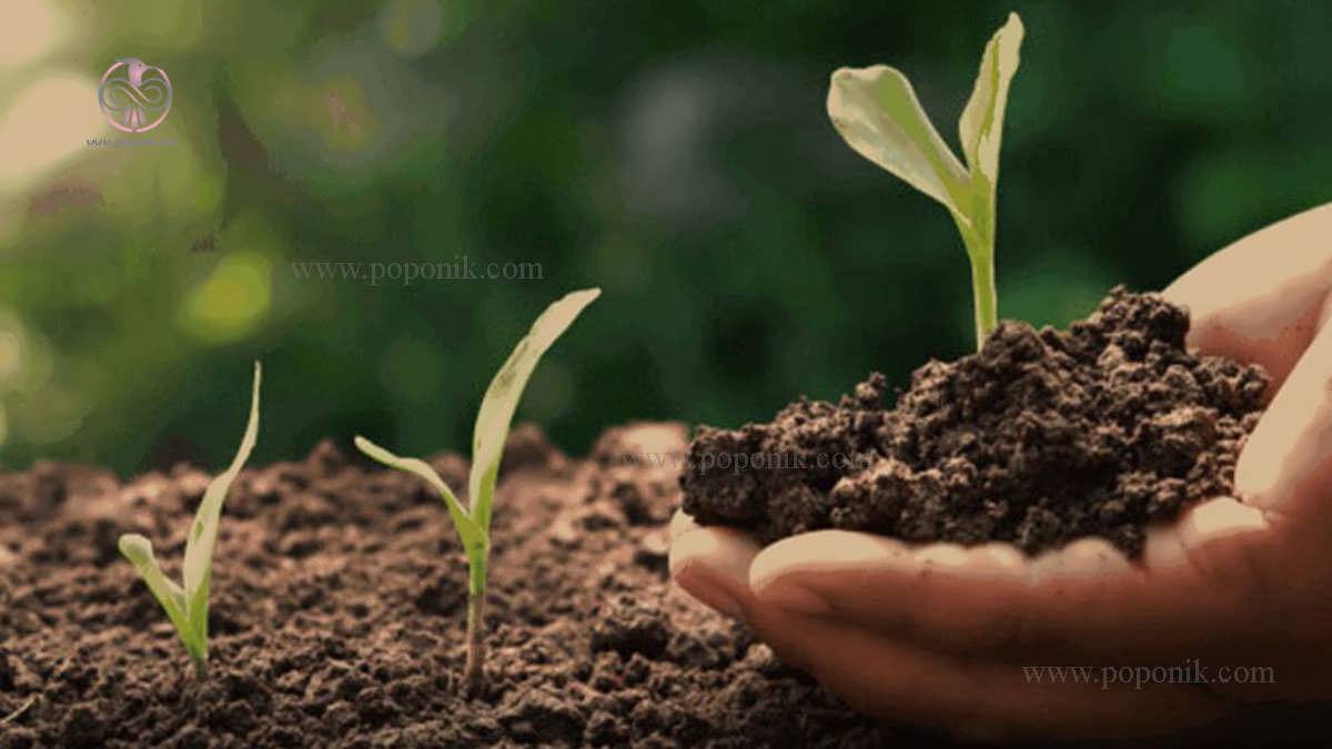 خاک هوموس دار چیست