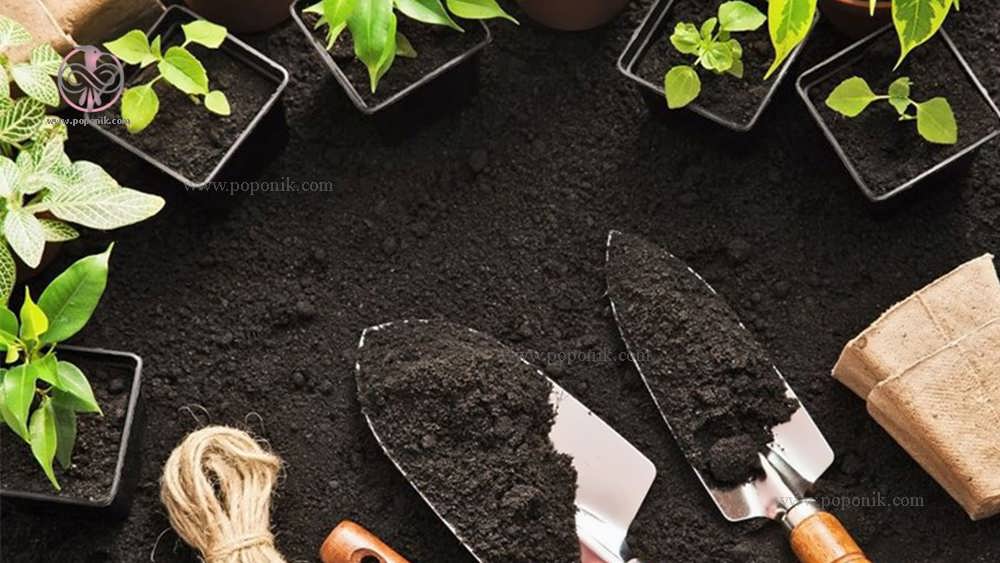 ترکیبات مناسب برای انواع خاک گیاهان آپارتمانی