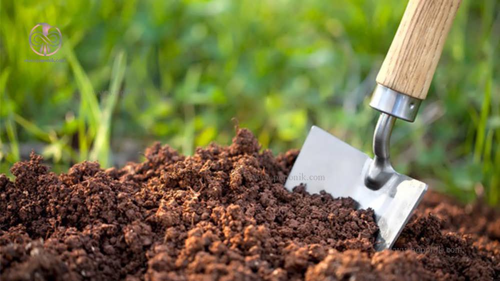 ترکیبات مناسب برای انواع خاک گیاهان آپارتمانی