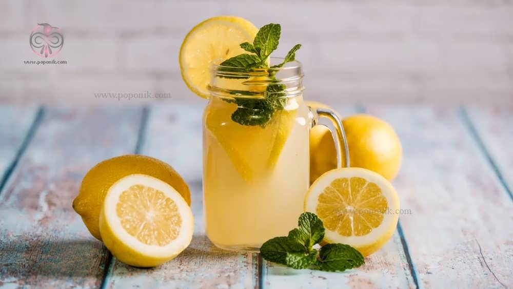 لیوان همراه آب لیموی طبیعی