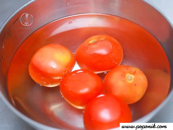 شستشوی گوجه فرنگی ها