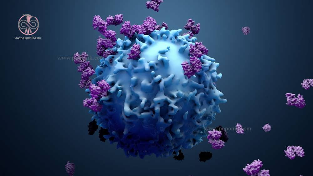 نمایش سه بعدی پروتئین با سلولهای سرطانی