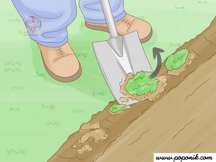 خاک را تمیز کنید