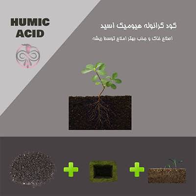 تصویر شماتیک کود گرانوله هیومیک اسید