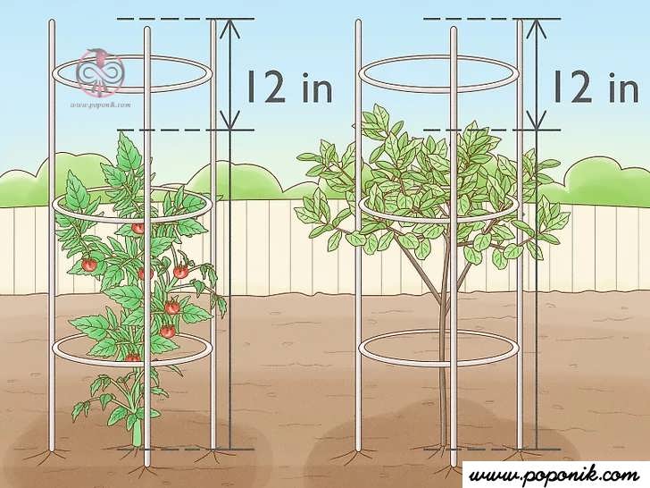 حصار گیاهان به طور جداگانه