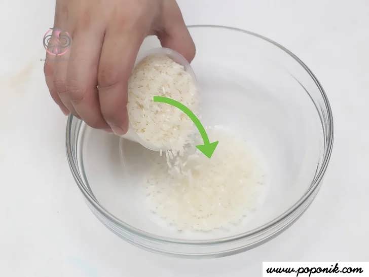 ریختن برنج با پیمانه