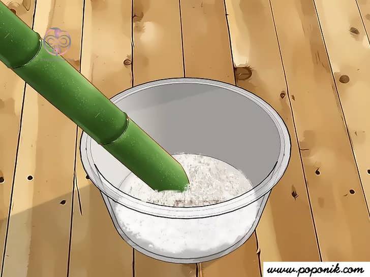 بامبو را در کاسه قرار دهید