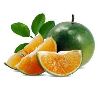 پرتقال سبز
