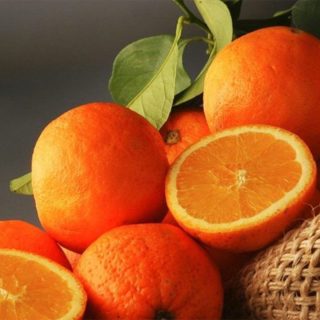 پرتقال پرل برش خورده