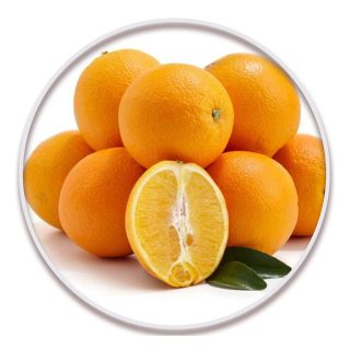 پرتقال شاموتی