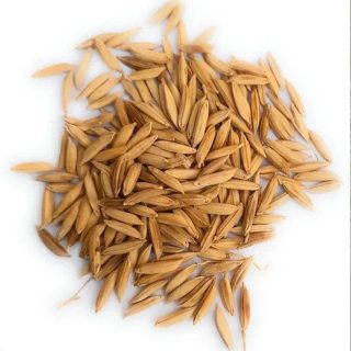 بذر برنج هاشمی