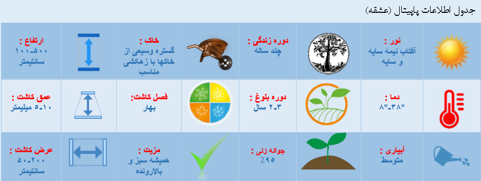 اطلاعات کاشت پاپیتال